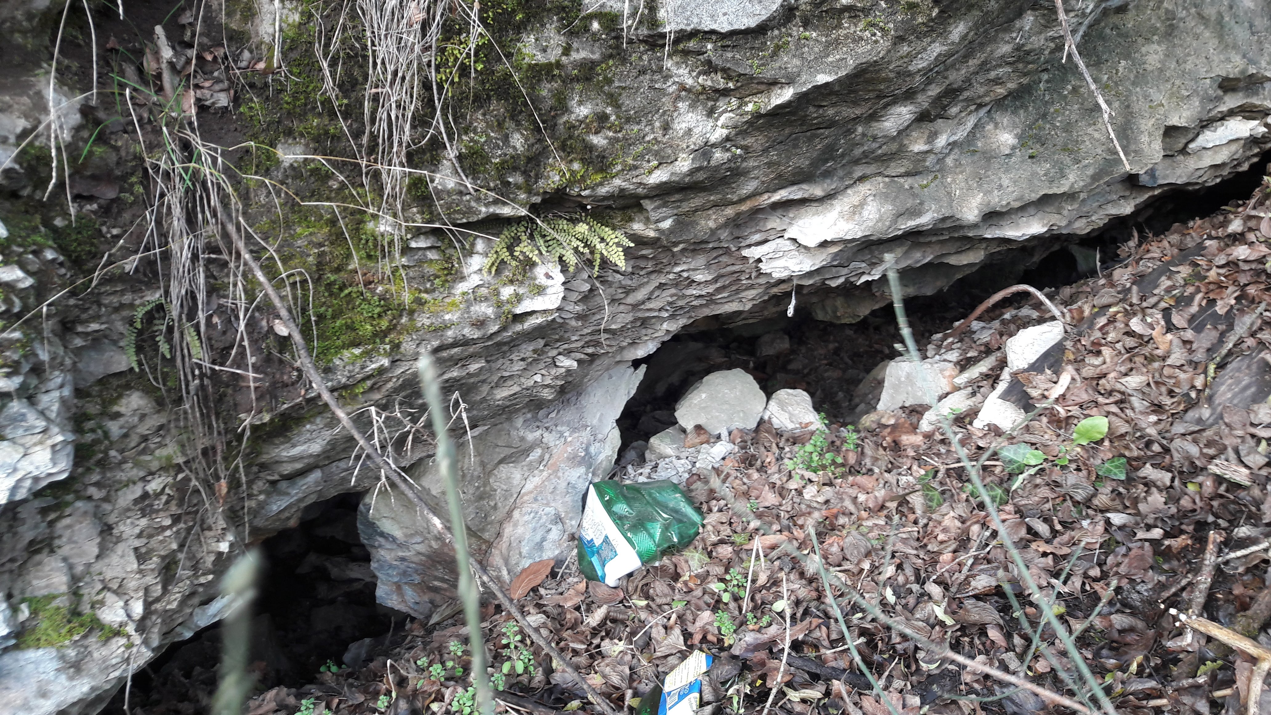 Peștera Caprelor - Image 3